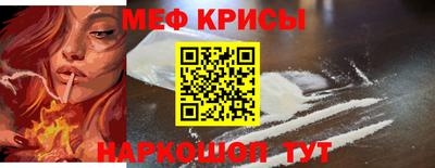 шишки Кингисепп