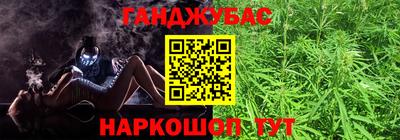 шишки Кингисепп