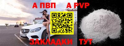 шишки Кингисепп
